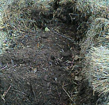 Finished compost