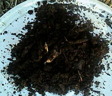 Close up of finished compost